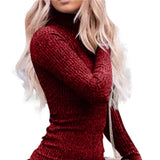 Sweater Dress