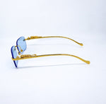 Cheetah Sunglasses