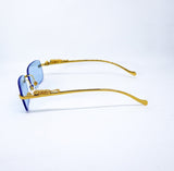 Cheetah Sunglasses