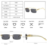 Cheetah Sunglasses